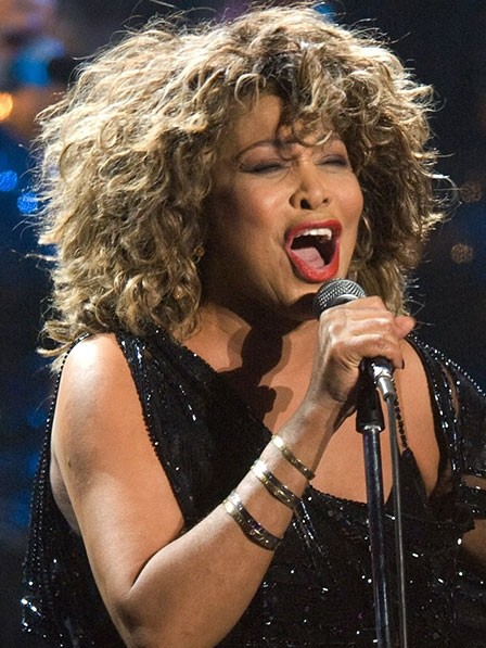 Lace Front Tina Turner Fashion Celebrity Wigs