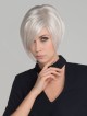 Short Straight Gray Synthetic Lace Front Mono Top Wig