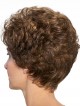 Classic Brown Short Women Wig with Curls