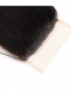Brazilian Straight Hair 1pcs With Lace Closure