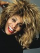 100% Human Hair New Tina Turner Celebrity Wigs