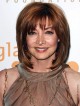 Shoulder Length Light Brown Synthetic Capless Hair Wig